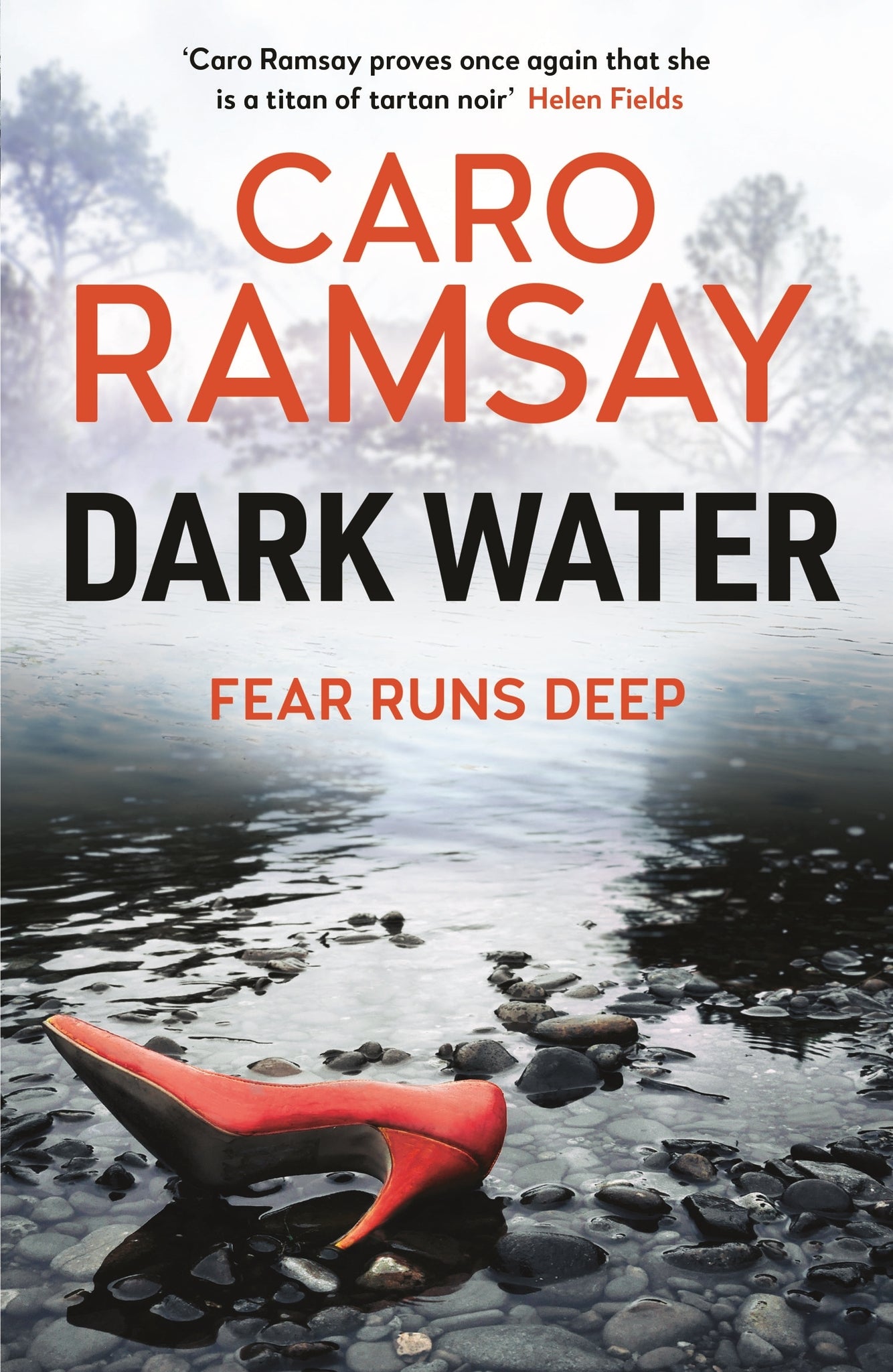 Cover image for Dark Water ISBN 