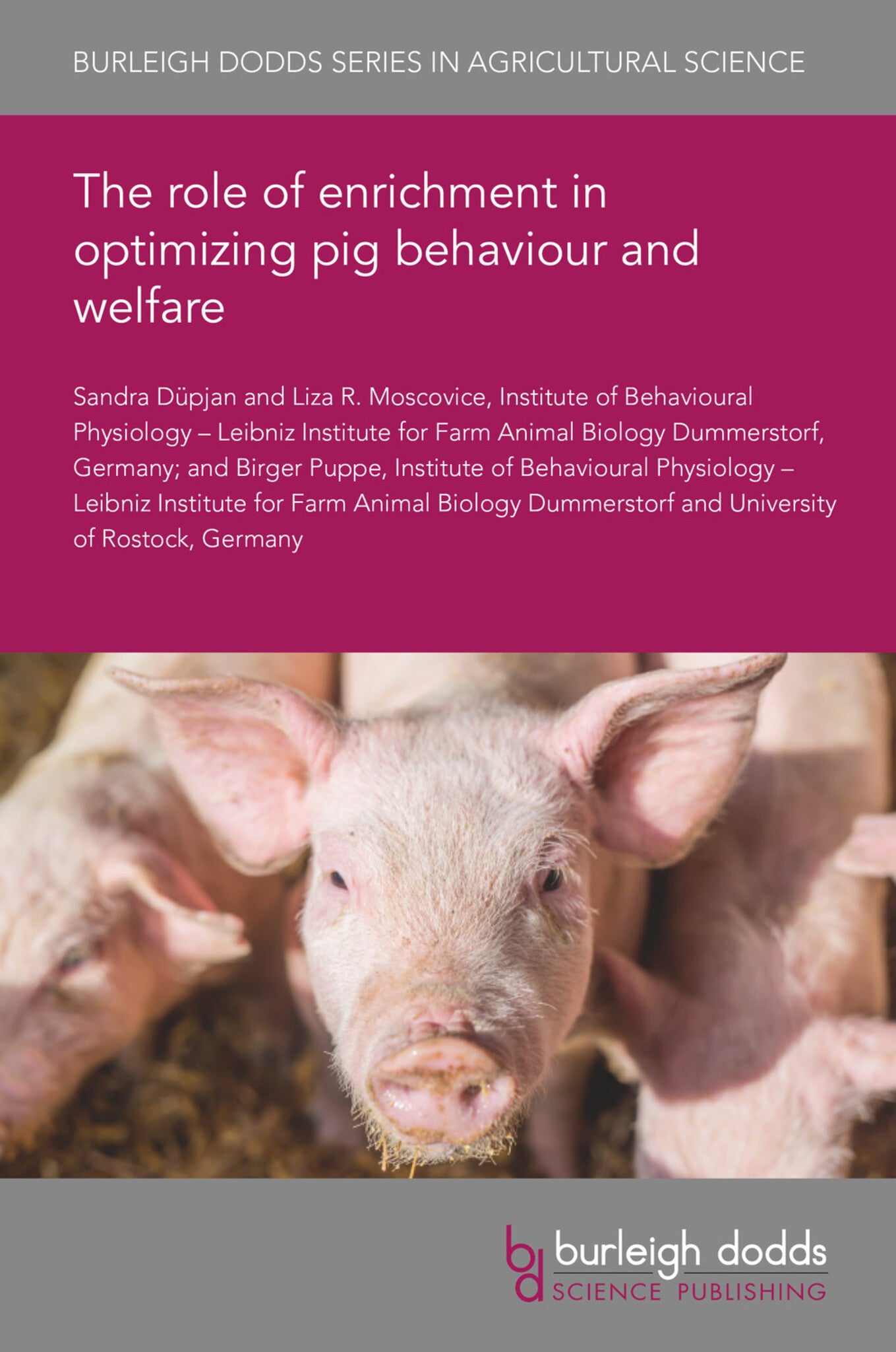 Cover image for The role of enrichment in optimizing pig behaviour and welfare ISBN 9781801460323