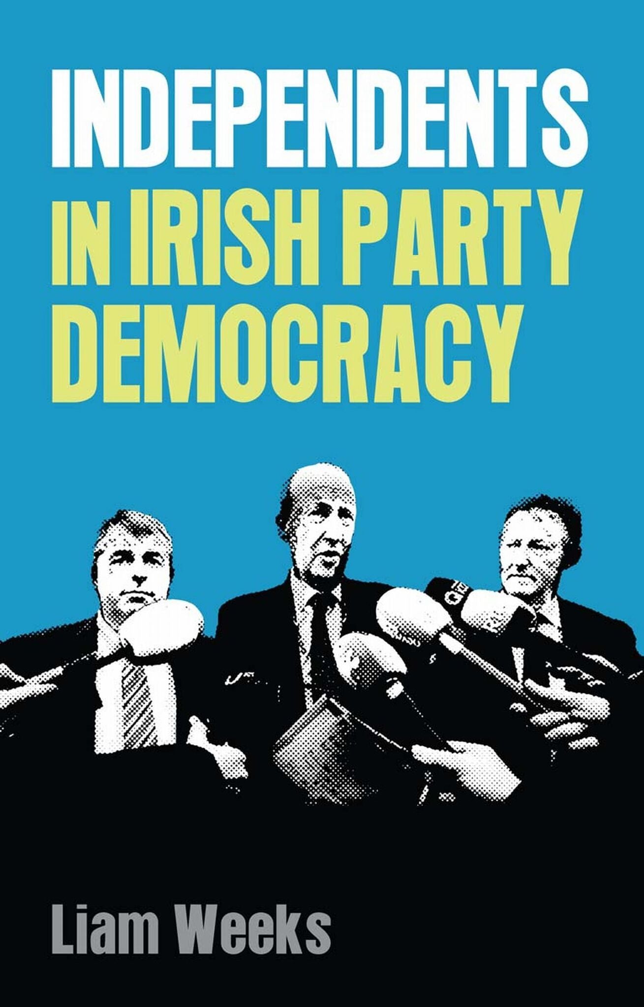Independents in Irish party democracy