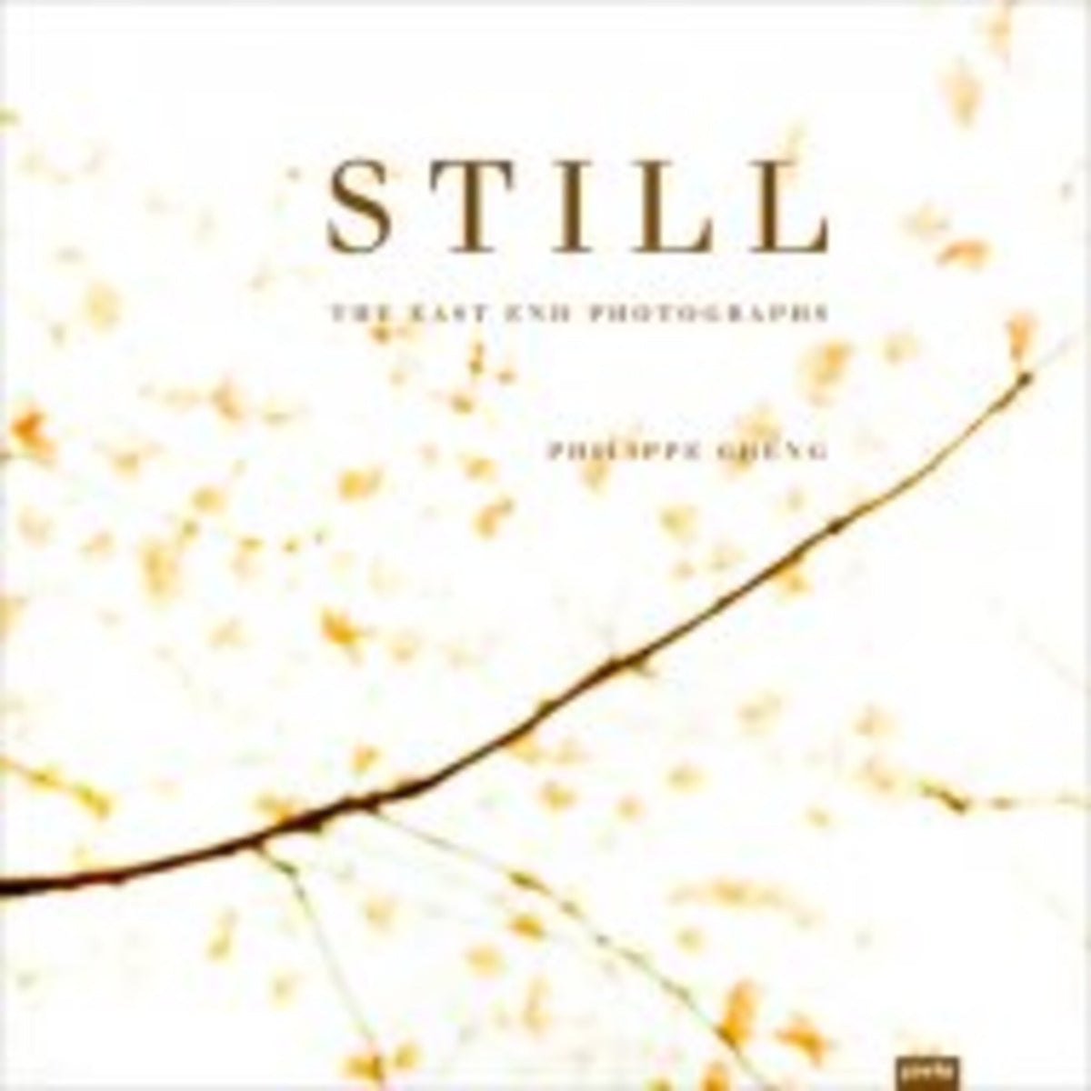 Cover image for Philippe Cheng: Still ISBN 9783868593501