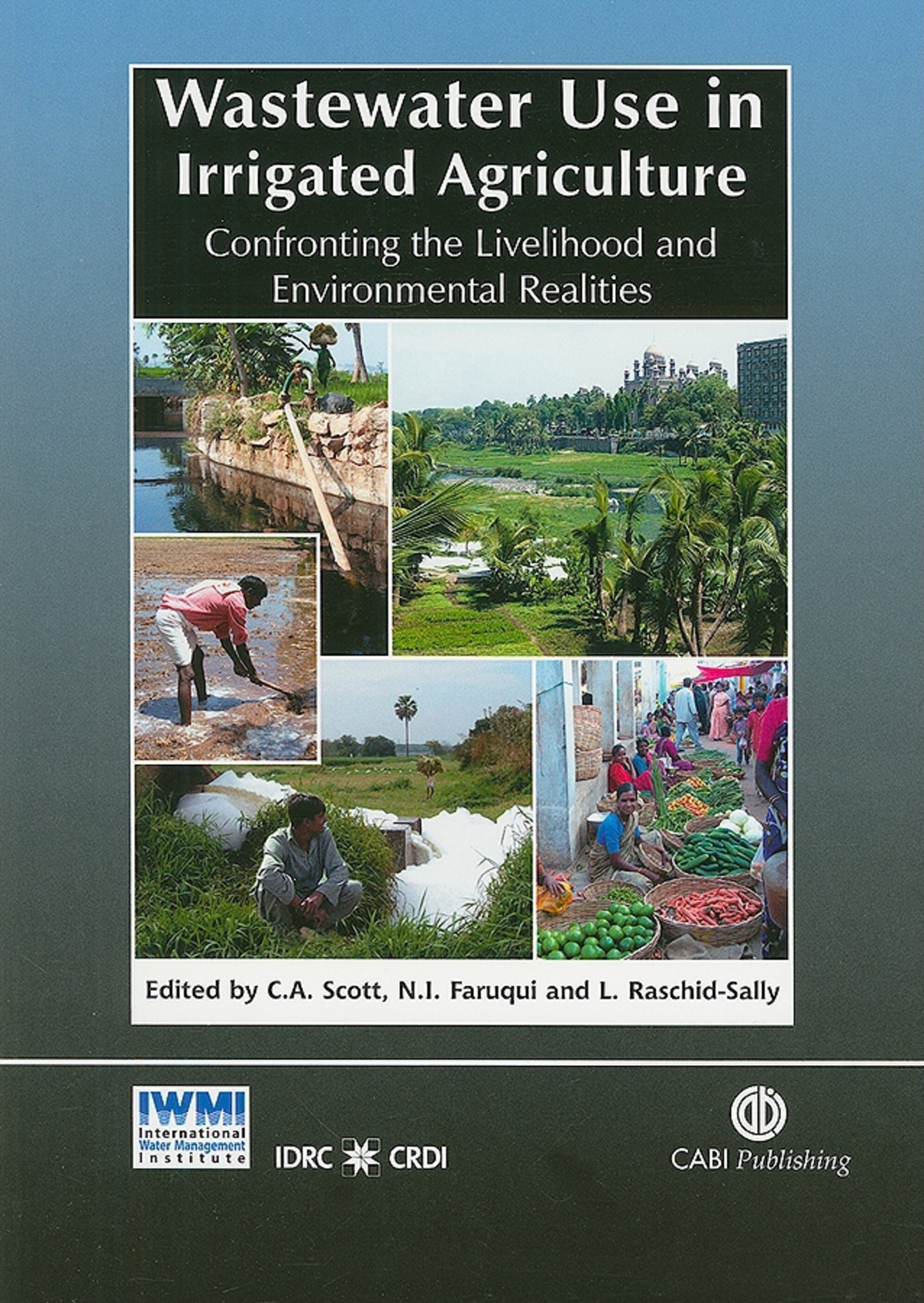 Wastewater Use in Irrigated Agriculture
