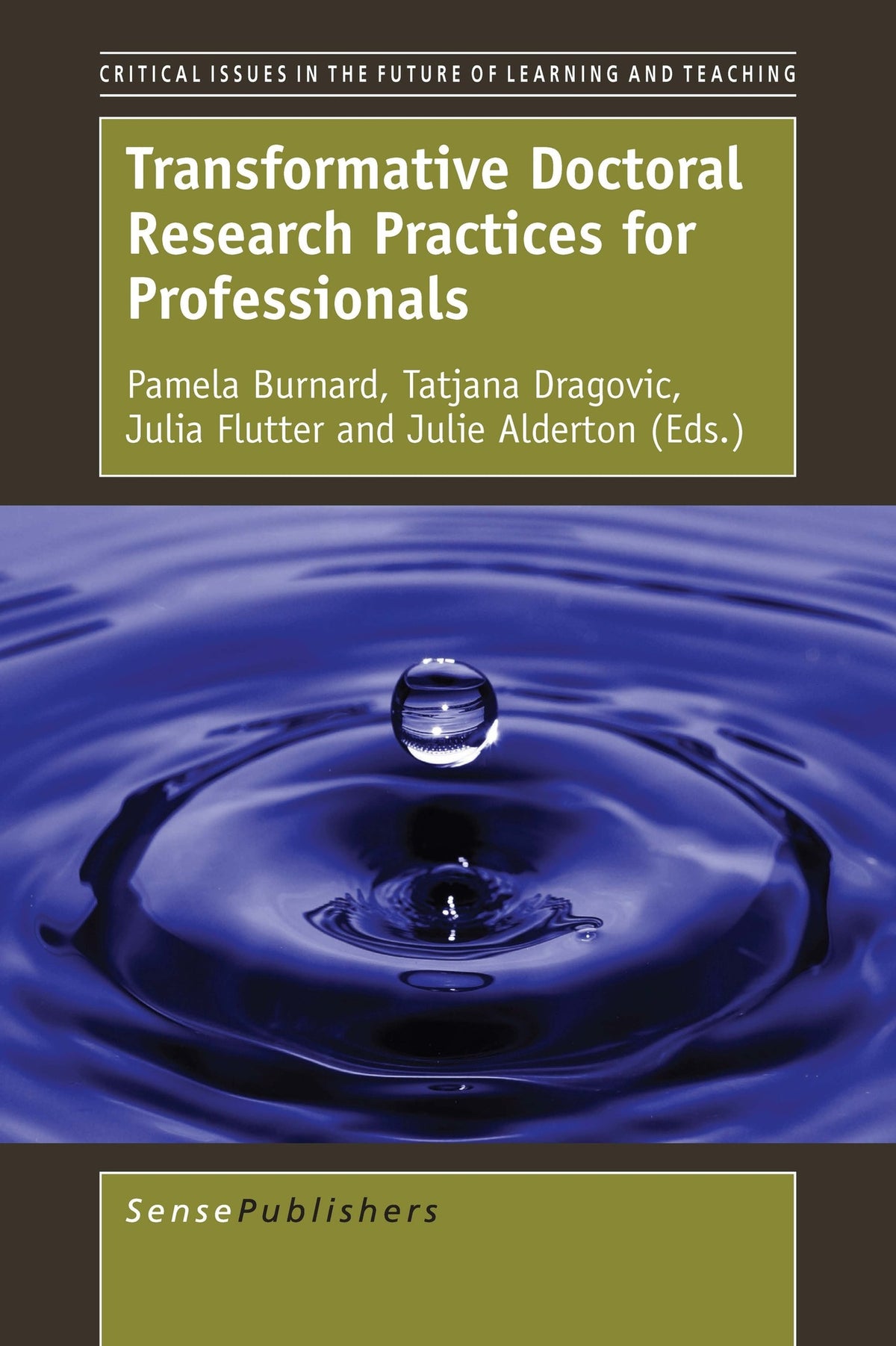 Cover image for Transformative Doctoral Research Practices for Professionals ISBN 9789463006286