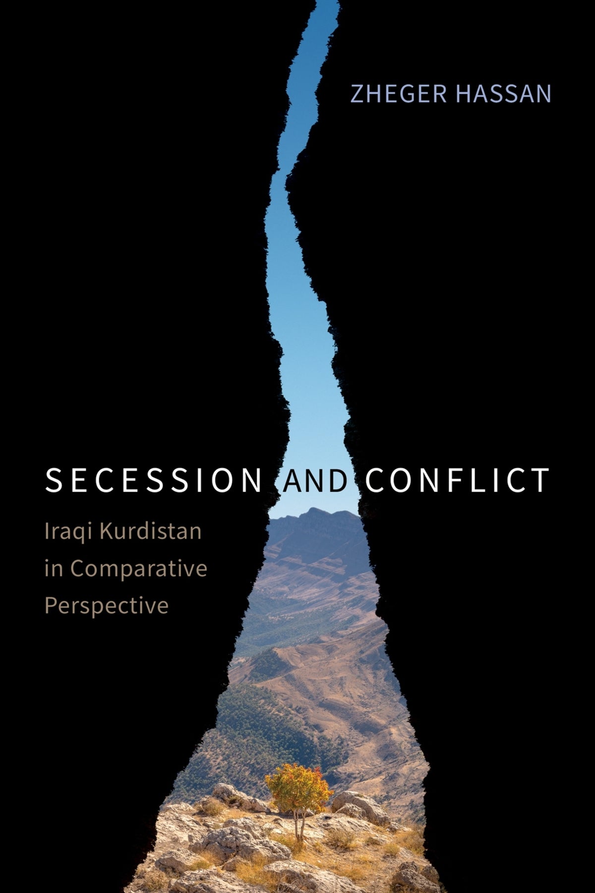Cover image for Secession and Conflict ISBN 9780228014249
