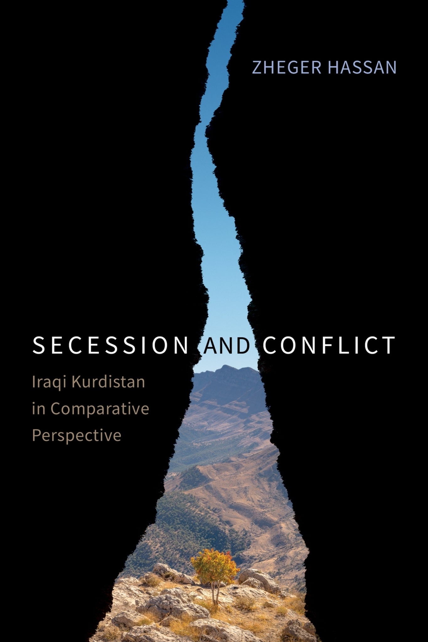 Cover image for Secession and Conflict ISBN 9780228014249