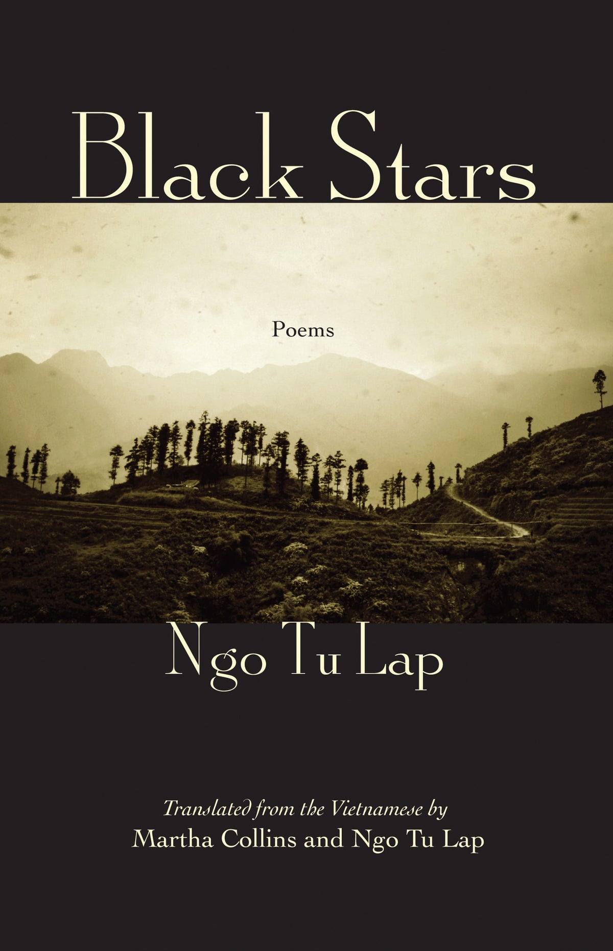 Cover image for Black Stars ISBN 9781571314598