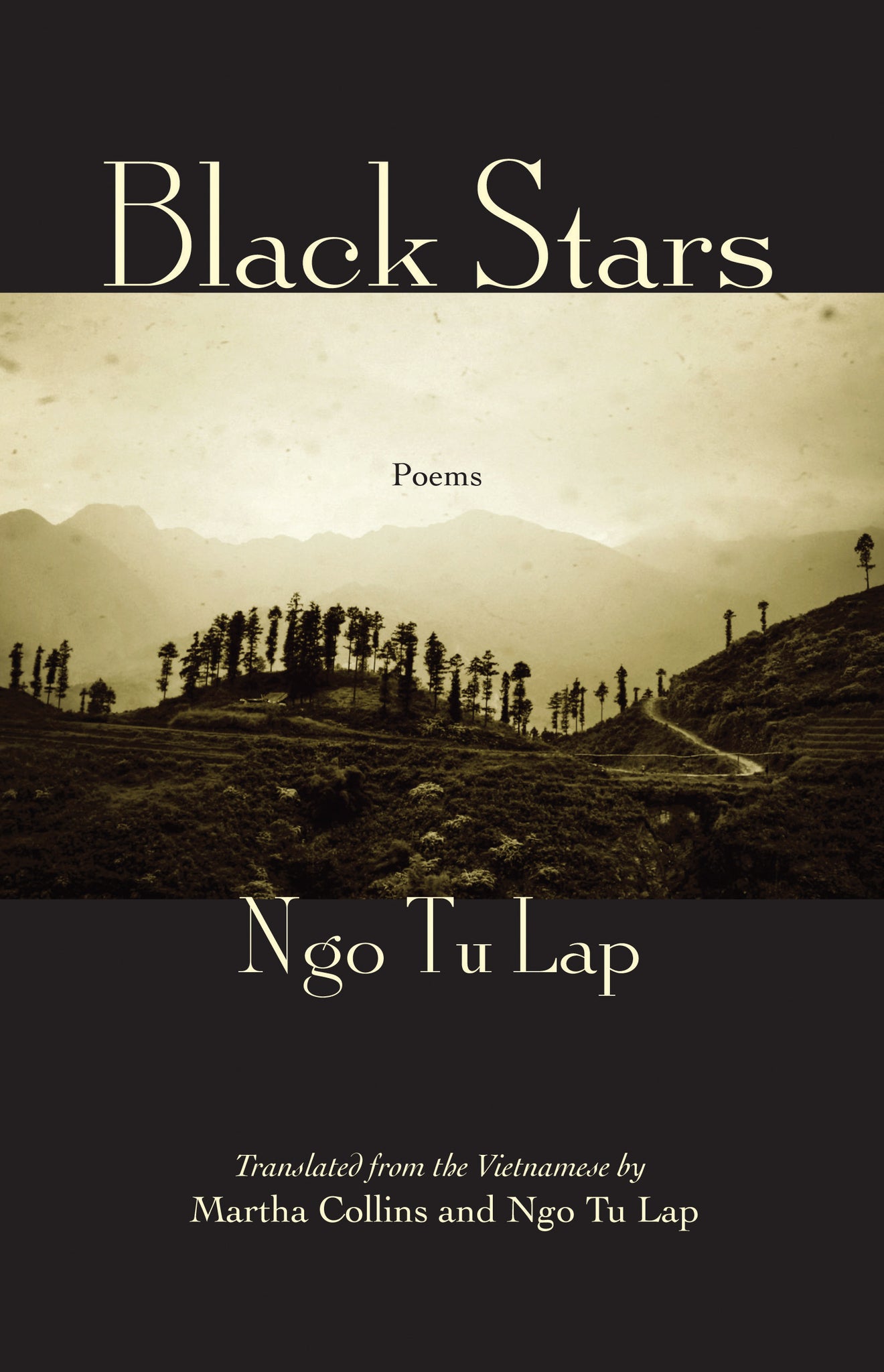 Cover image for Black Stars ISBN 9781571314598