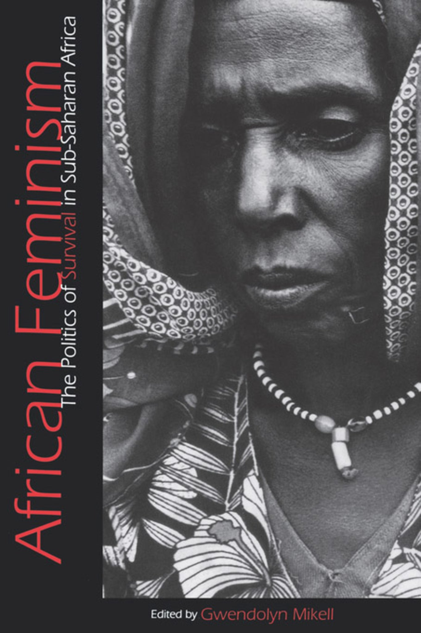 Cover image for African Feminism ISBN 9780812215809