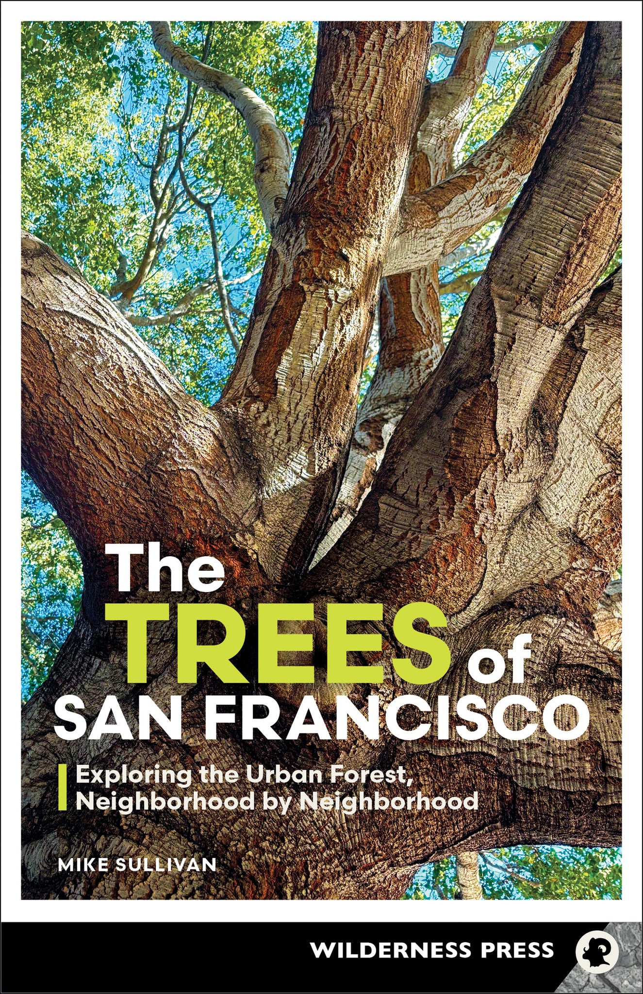 The Trees of San Francisco