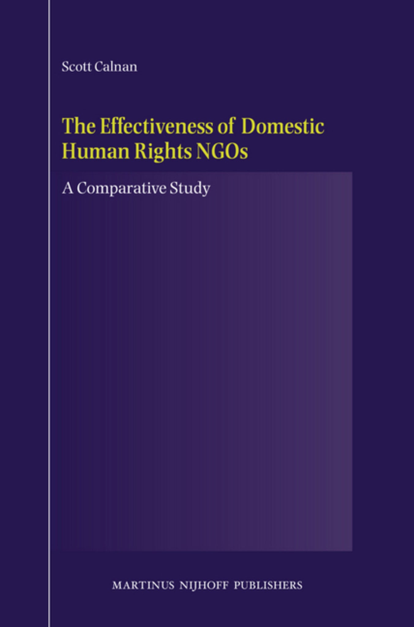 The Effectiveness of Domestic Human Rights NGOs