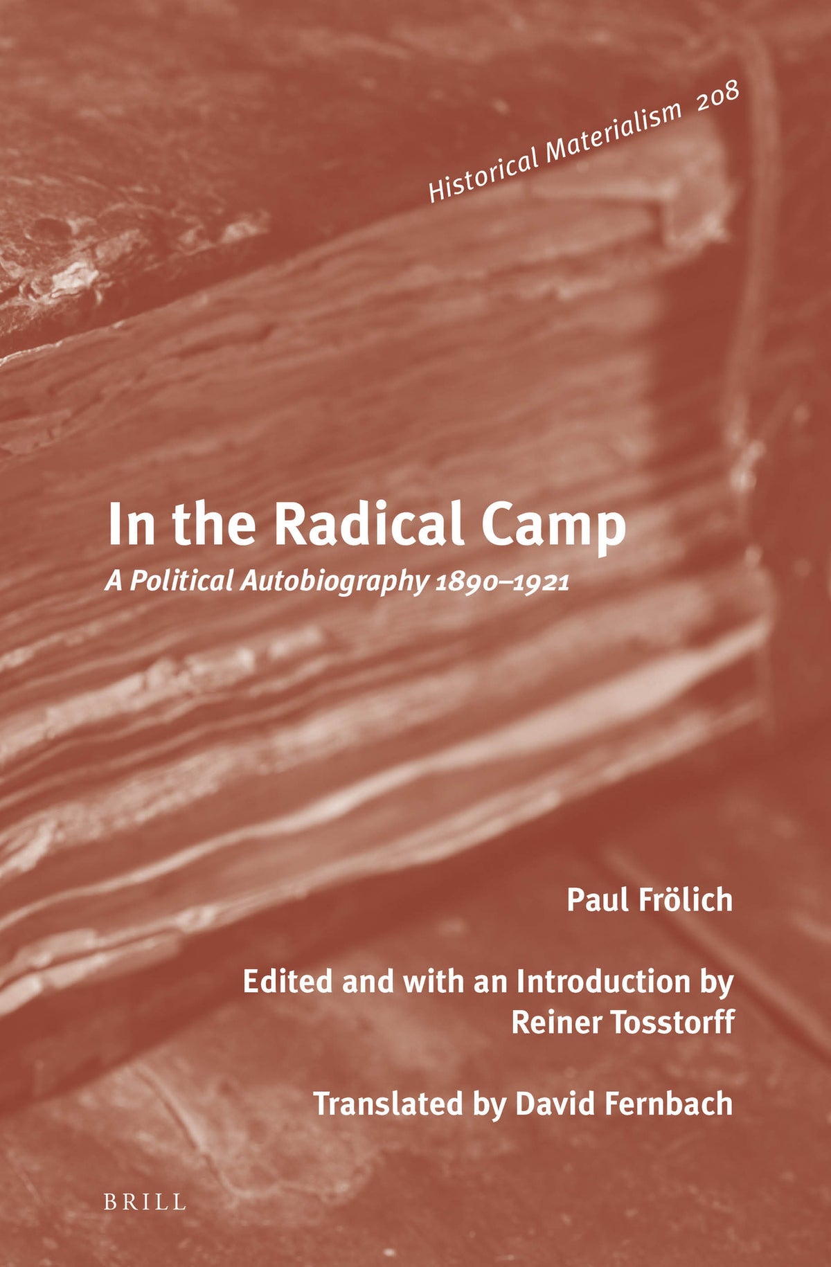 Cover image for In the Radical Camp ISBN 9789004323186