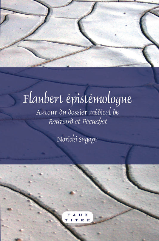 Flaubert épistémologue