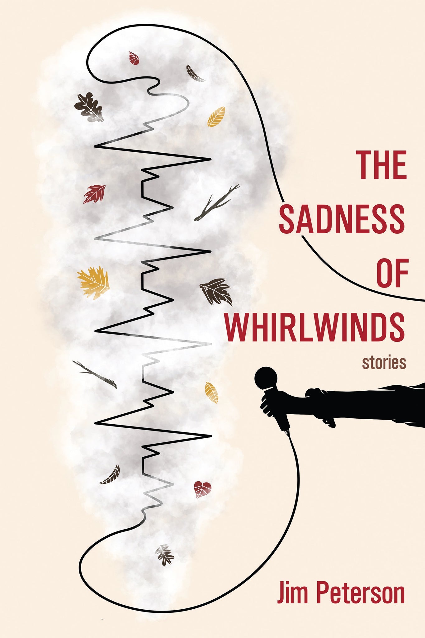 Cover image for The Sadness of Whirlwinds ISBN 9781636280103