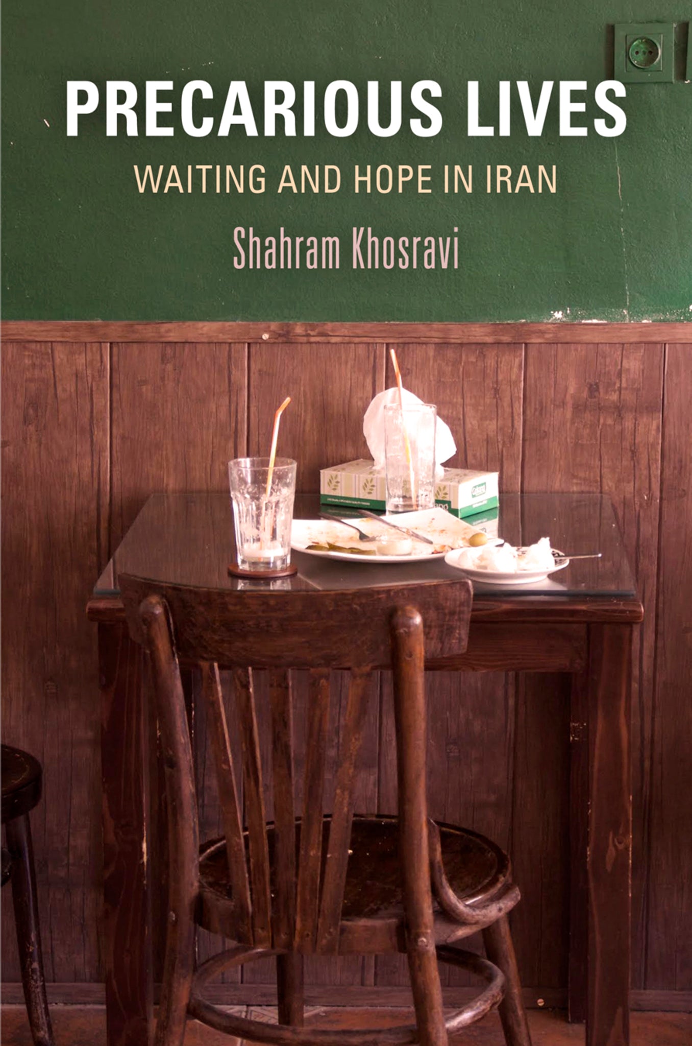 Cover image for Precarious Lives ISBN 9780812248876
