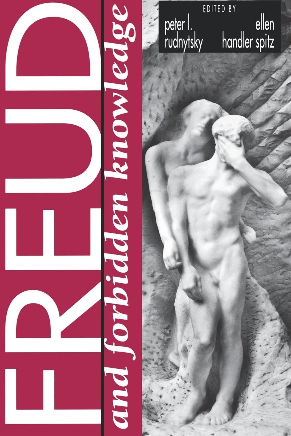 Cover image for Freud and Forbidden Knowledge ISBN 9780814774601