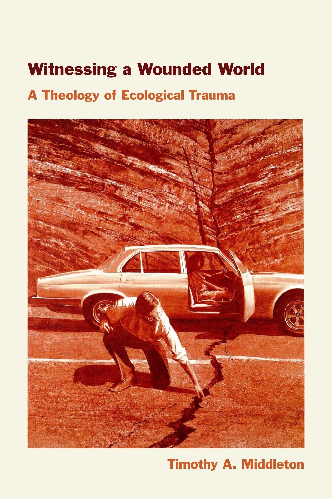Cover image for Witnessing a Wounded World ISBN 9781531512767