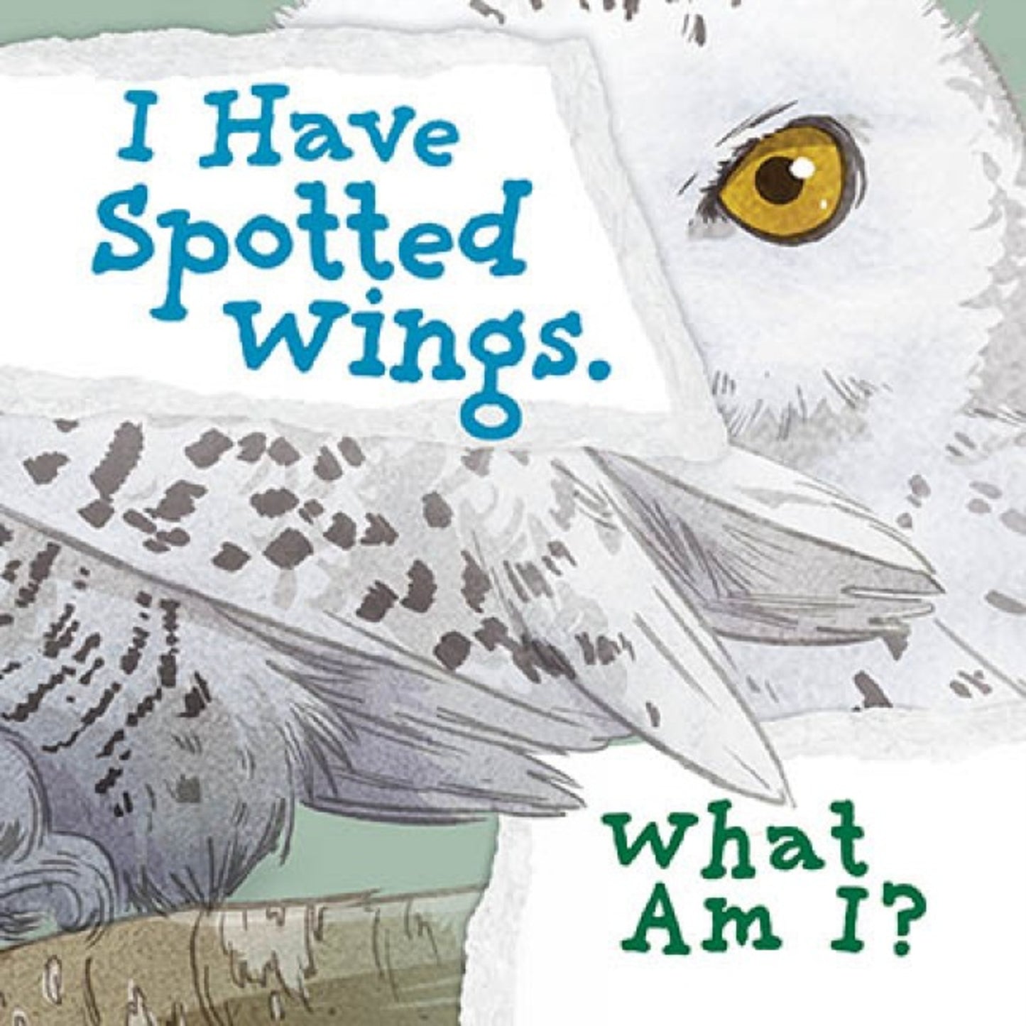 I Have Spotted Wings. What Am I?