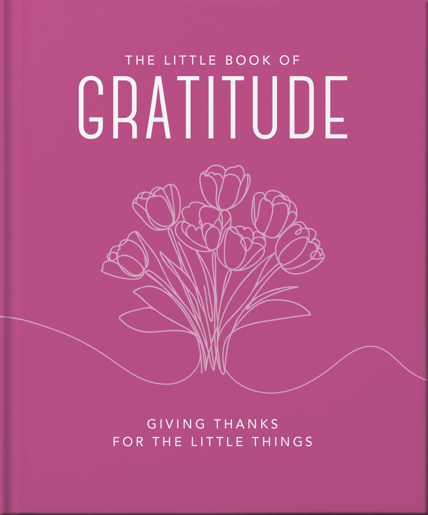 The Little Book of Gratitude