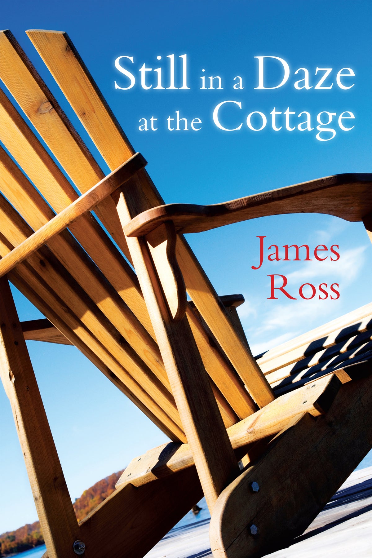 Cover image for Still in a Daze at the Cottage ISBN 9781459721777