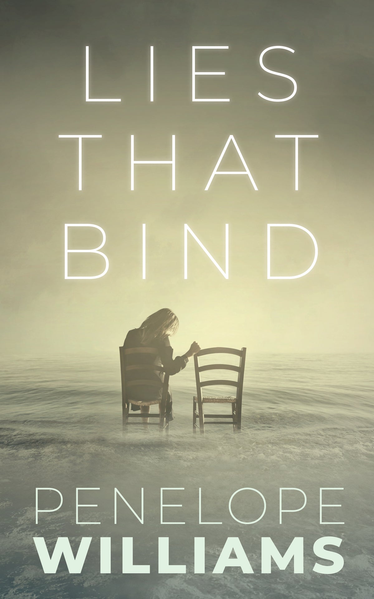 Cover image for Lies that Bind ISBN 9781459745148
