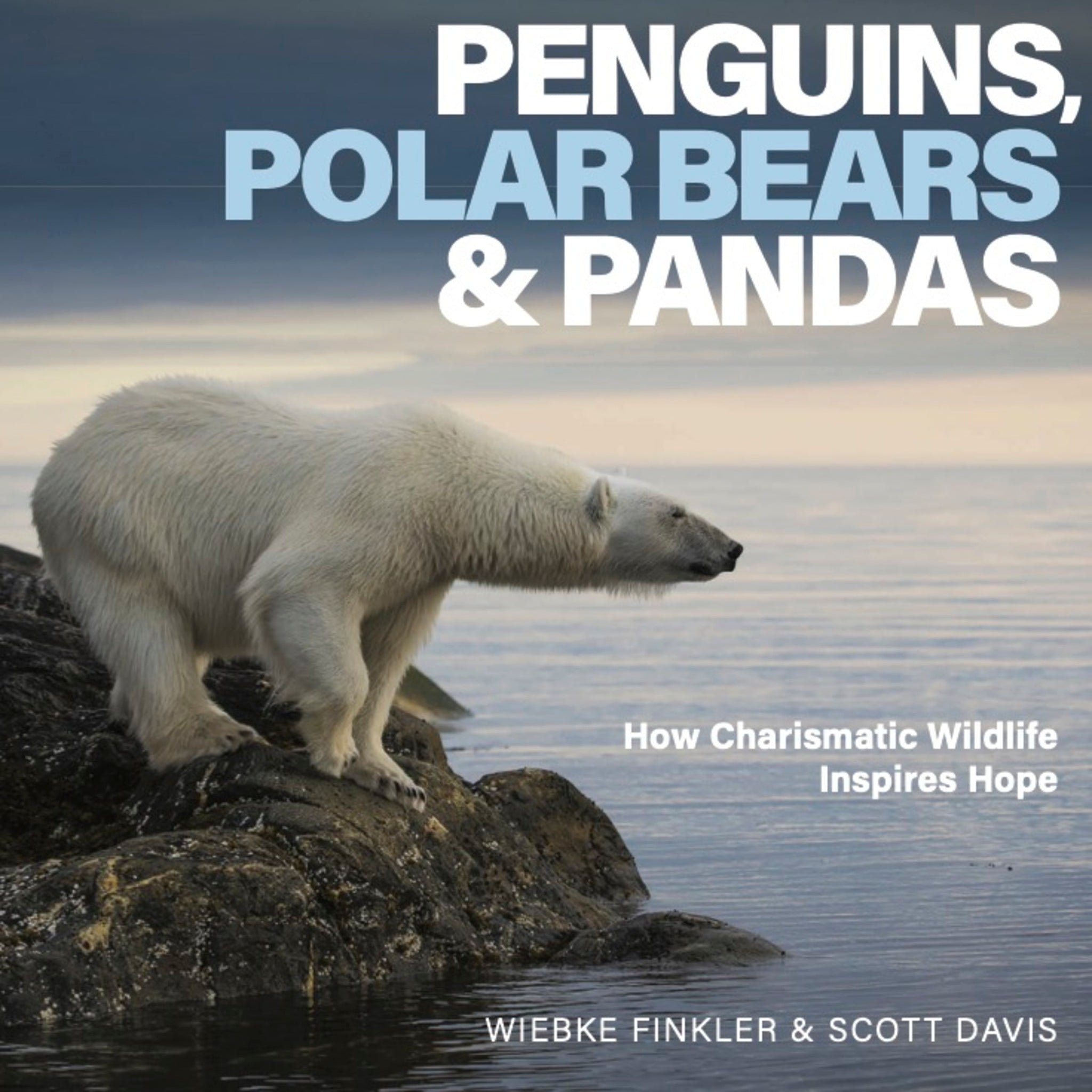 Penguins, Polar Bears and Pandas
