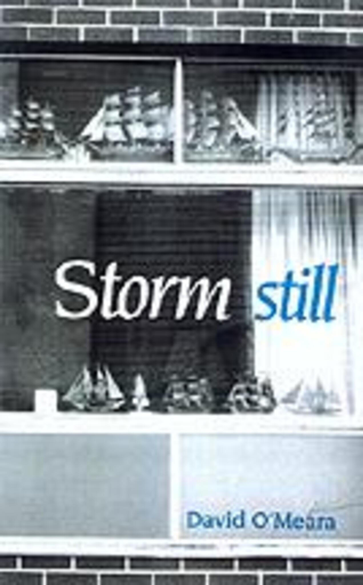 Cover image for Storm Still ISBN 9780886293604