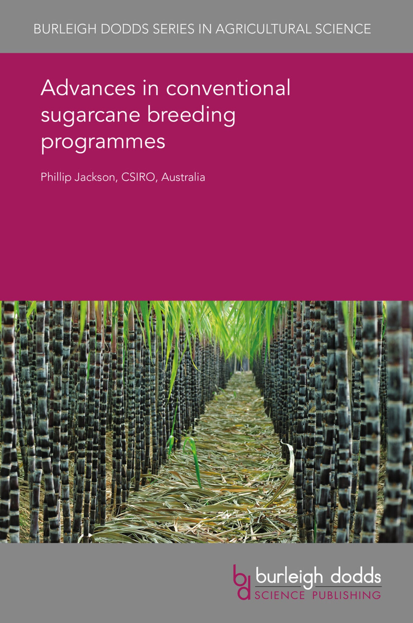Cover image for Advances in conventional sugarcane breeding programmes ISBN 9781838795825