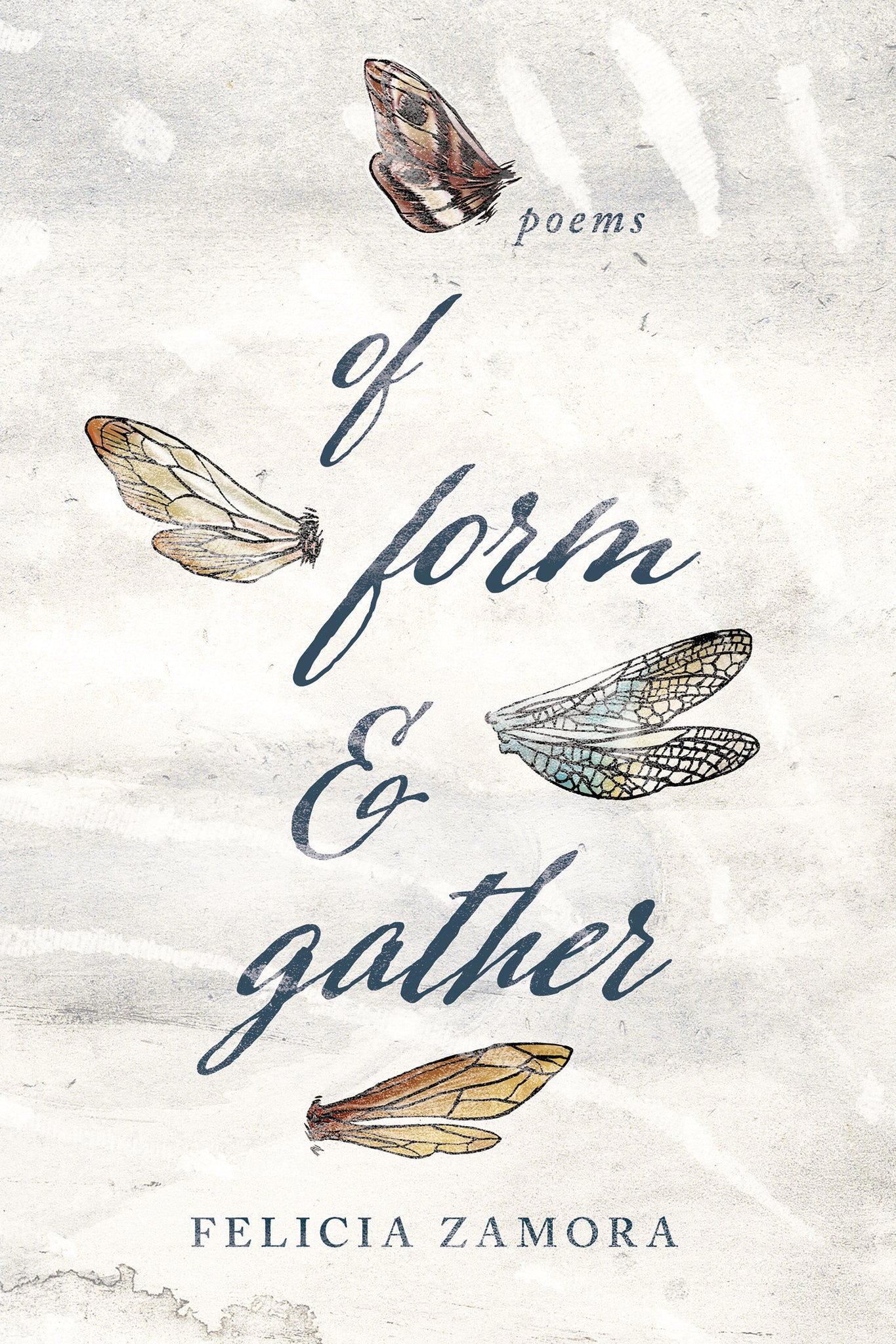 Cover image for Of Form & Gather ISBN 9780268101794
