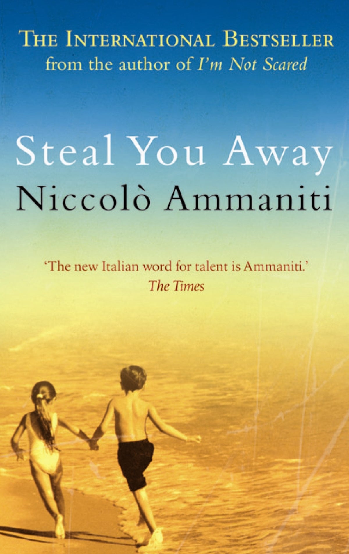 Cover image for Steal You Away ISBN 9781841959320