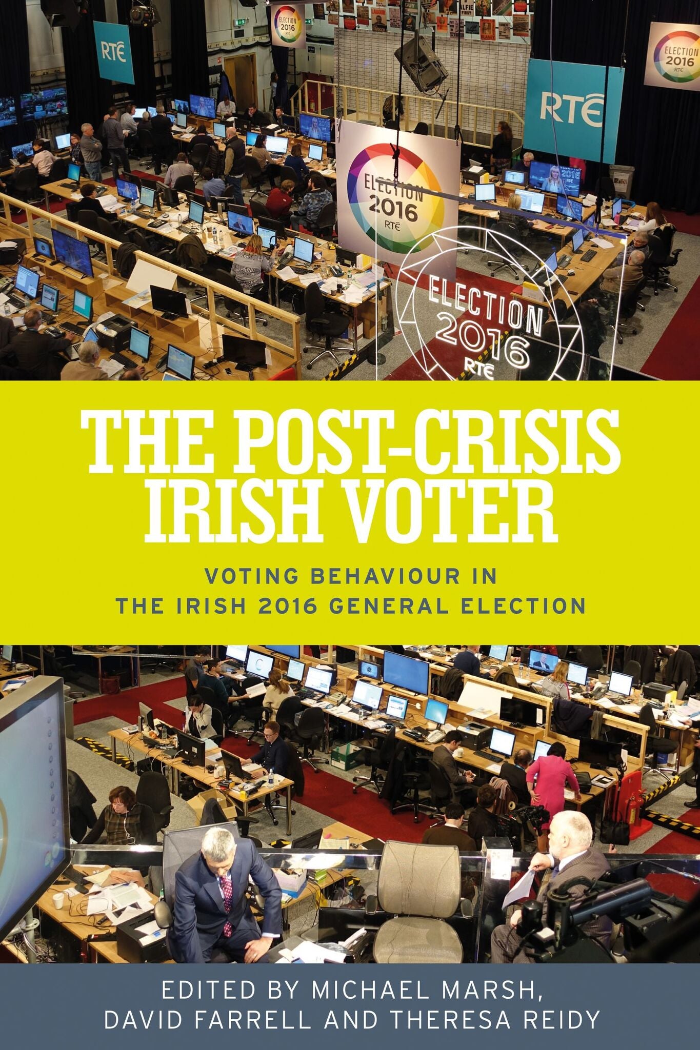 The post-crisis Irish voter