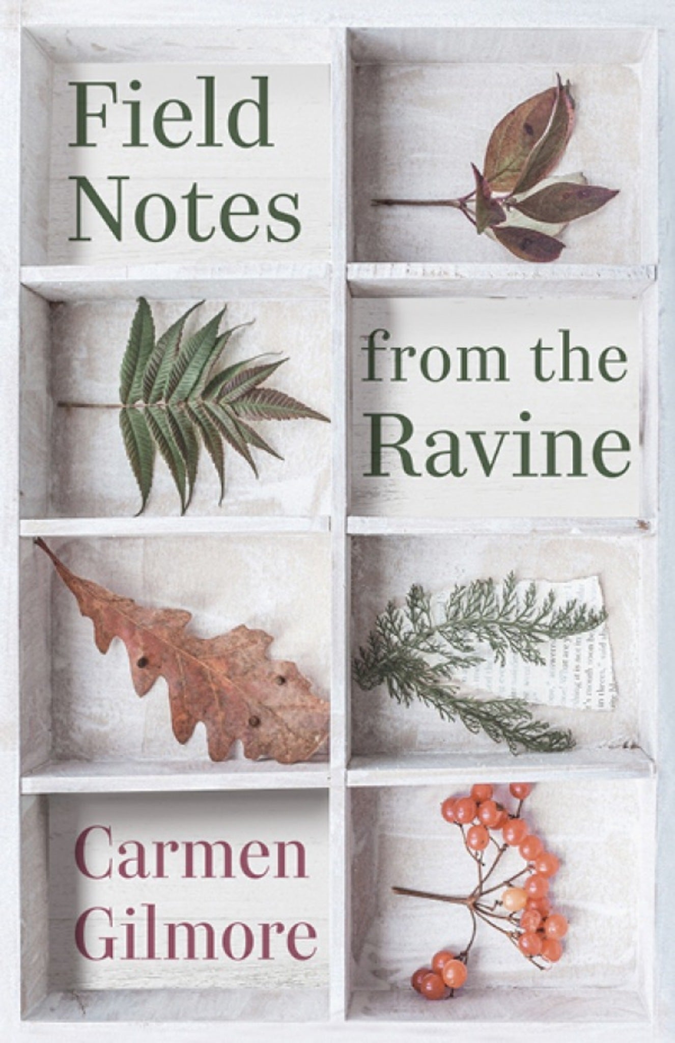 Field Notes from the Ravine