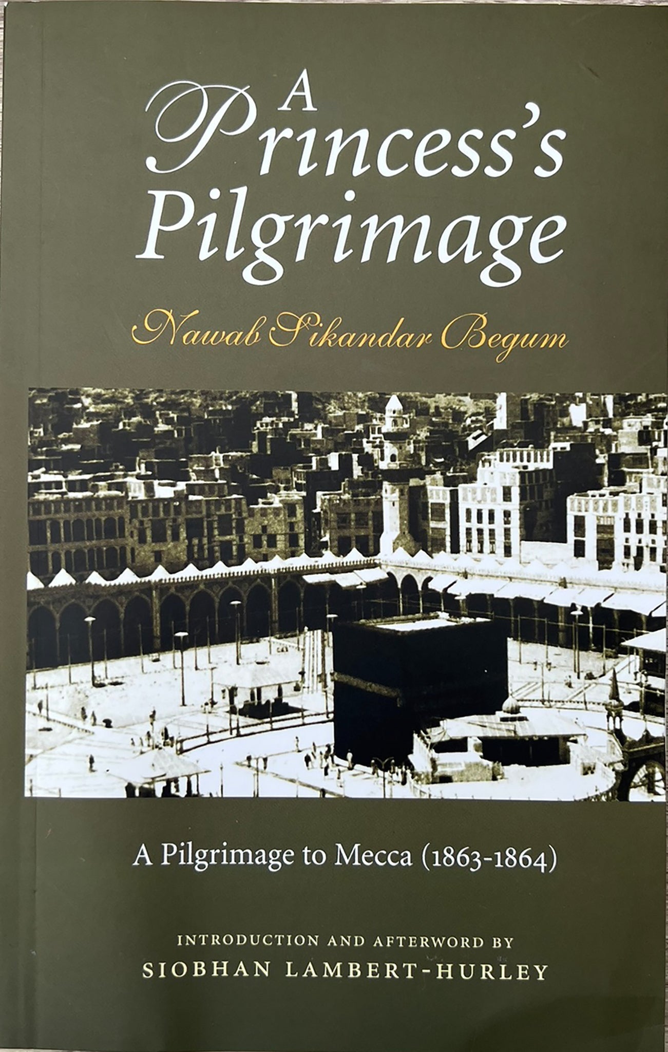 Cover image for A Princess's Pilgrimage ISBN 9781847740007