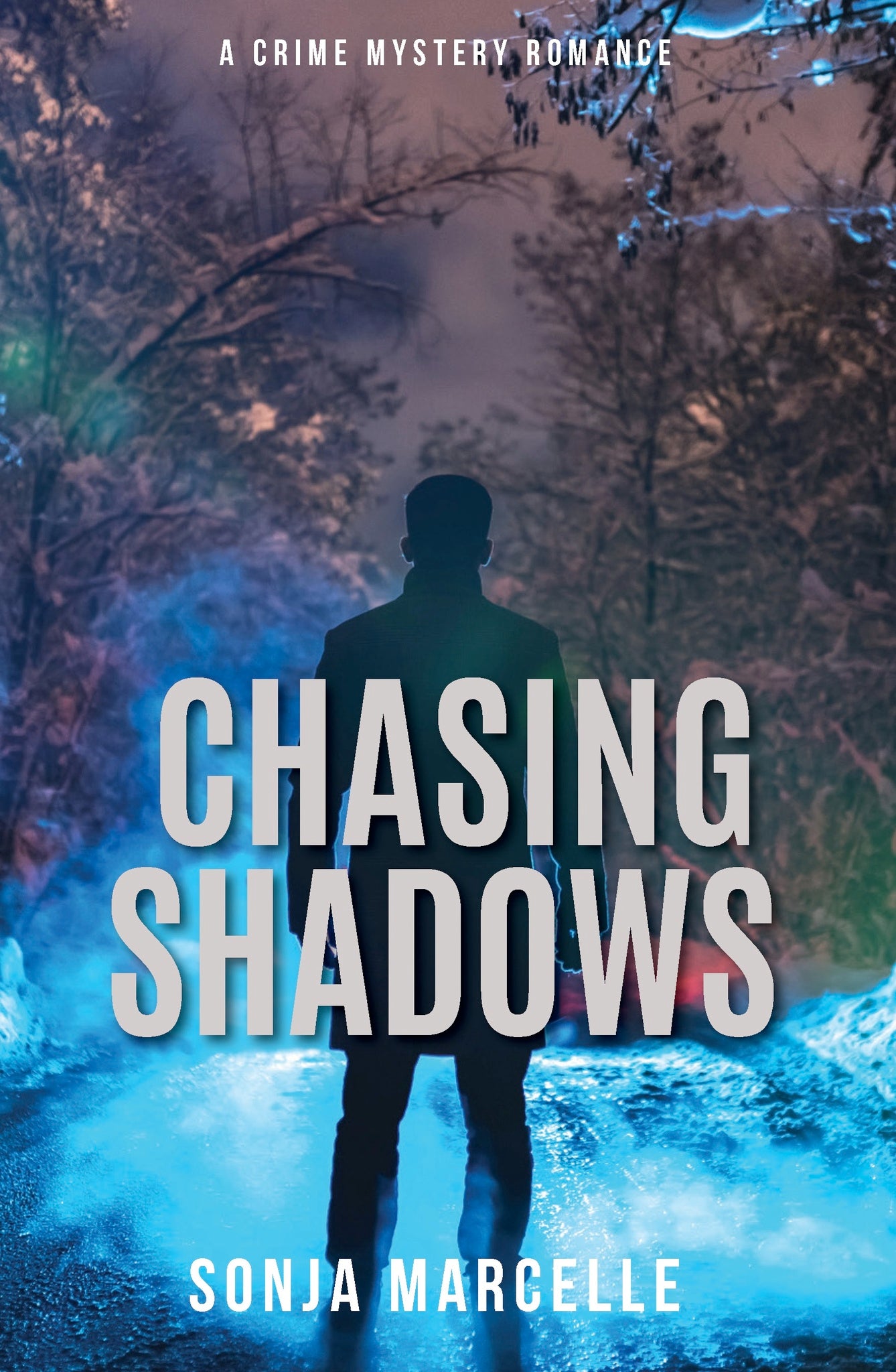 Cover image for Chasing Shadows ISBN 9781956370126
