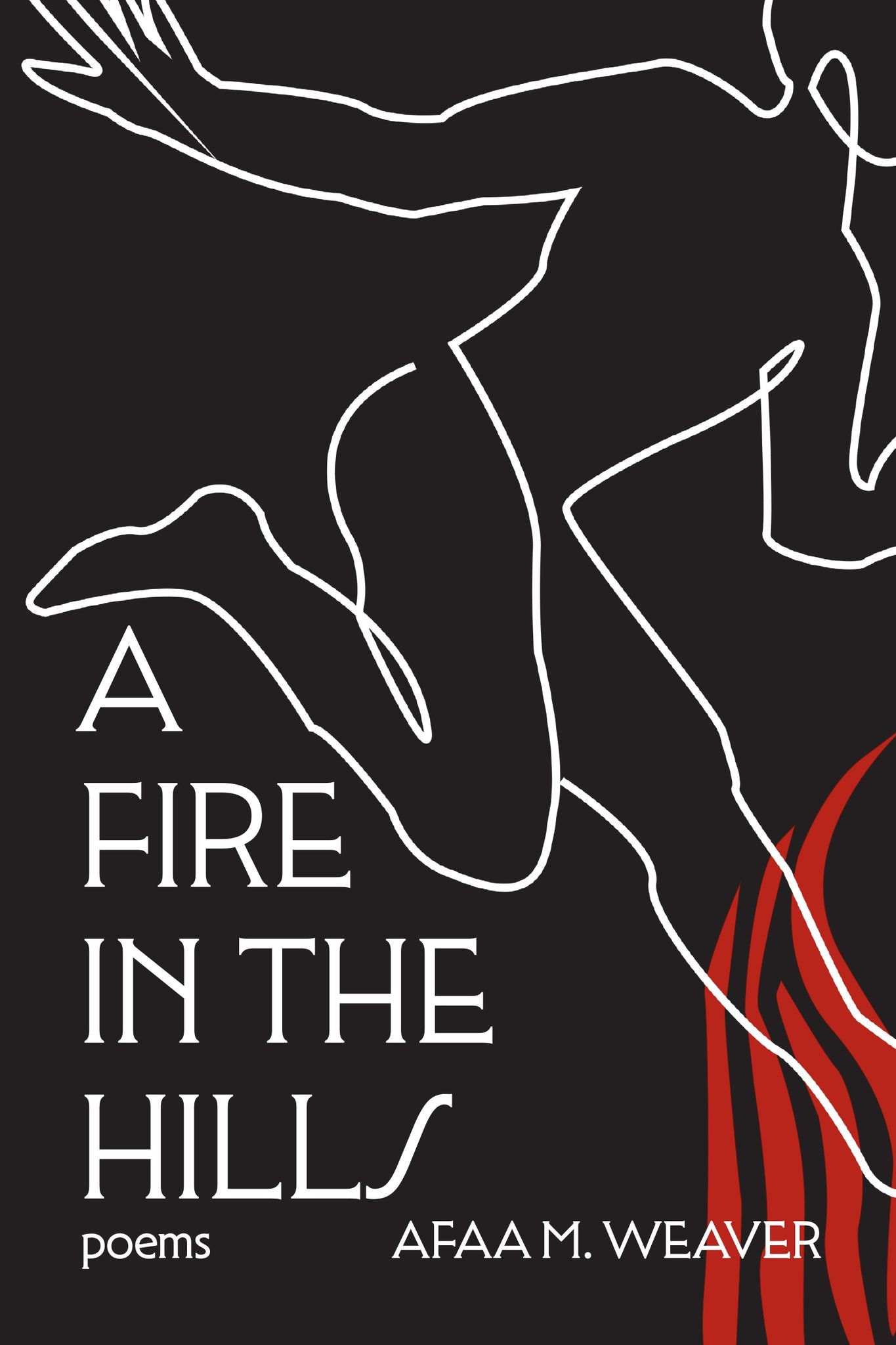Cover image for A Fire in the Hills ISBN 9781636280837