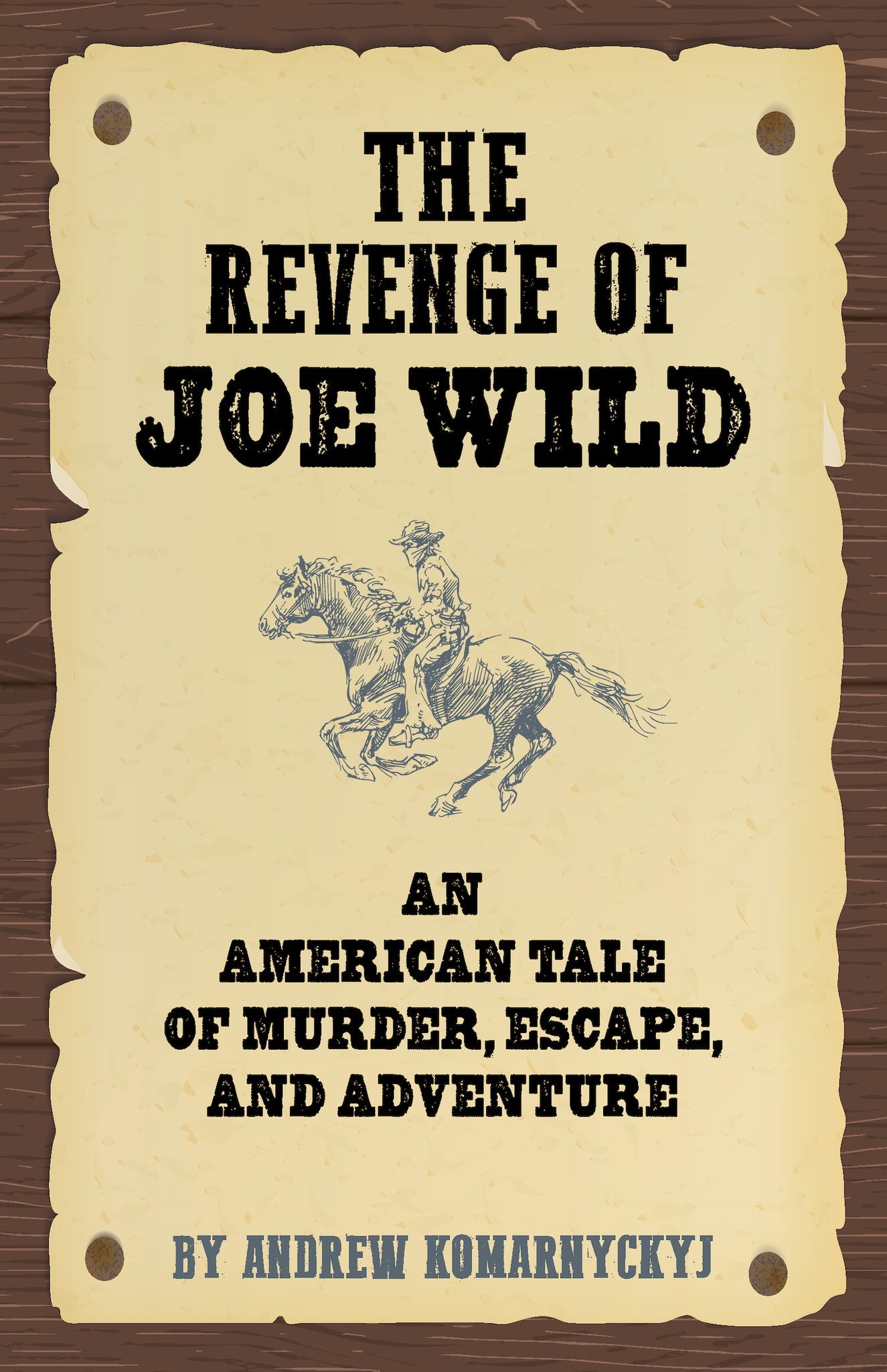 Cover image for The Revenge of Joe Wild ISBN 9781595801418