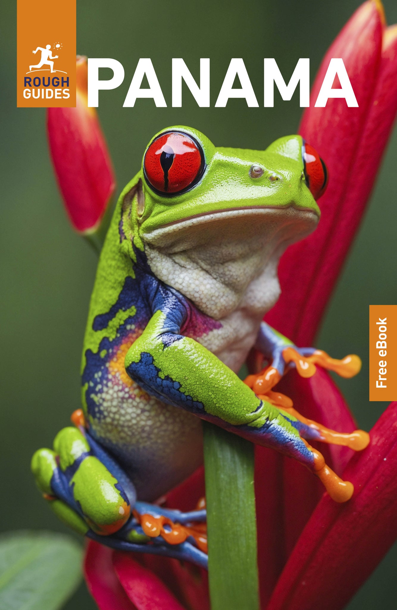 Cover image for Rough Guides Panama: Travel Guide with eBook ISBN 9781835292518