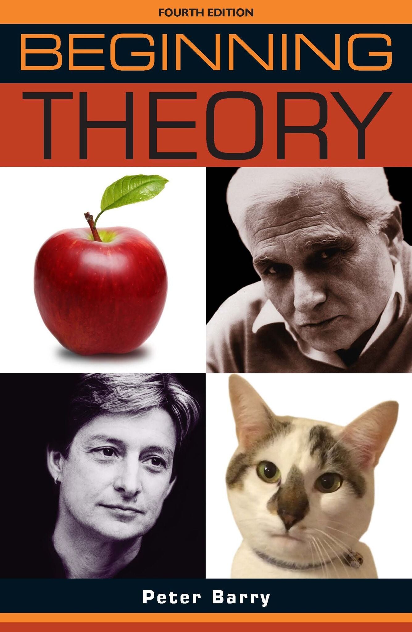 Cover image for Beginning theory ISBN 9781526121790