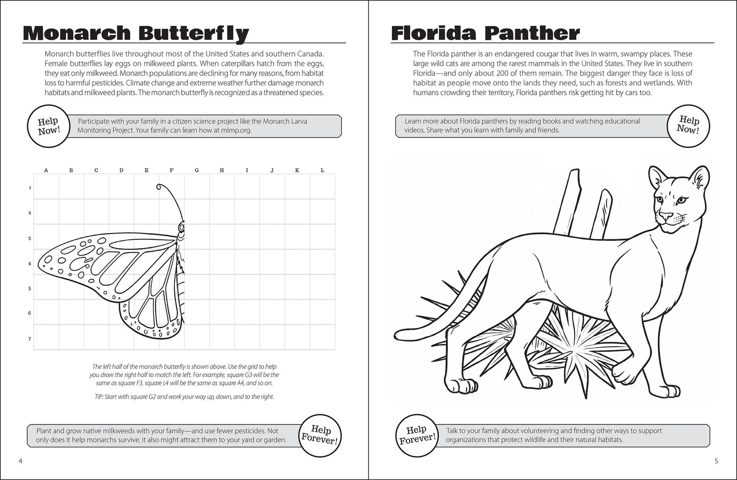 Cover image for Save the Animals Activity Book ISBN 9781960084934