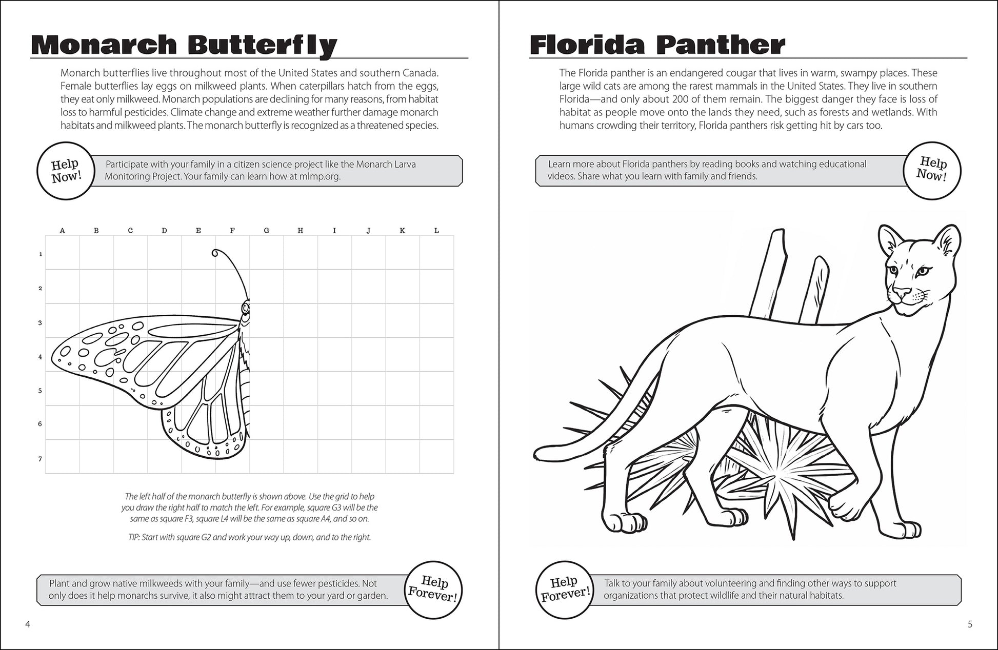 Save the Animals Activity Book