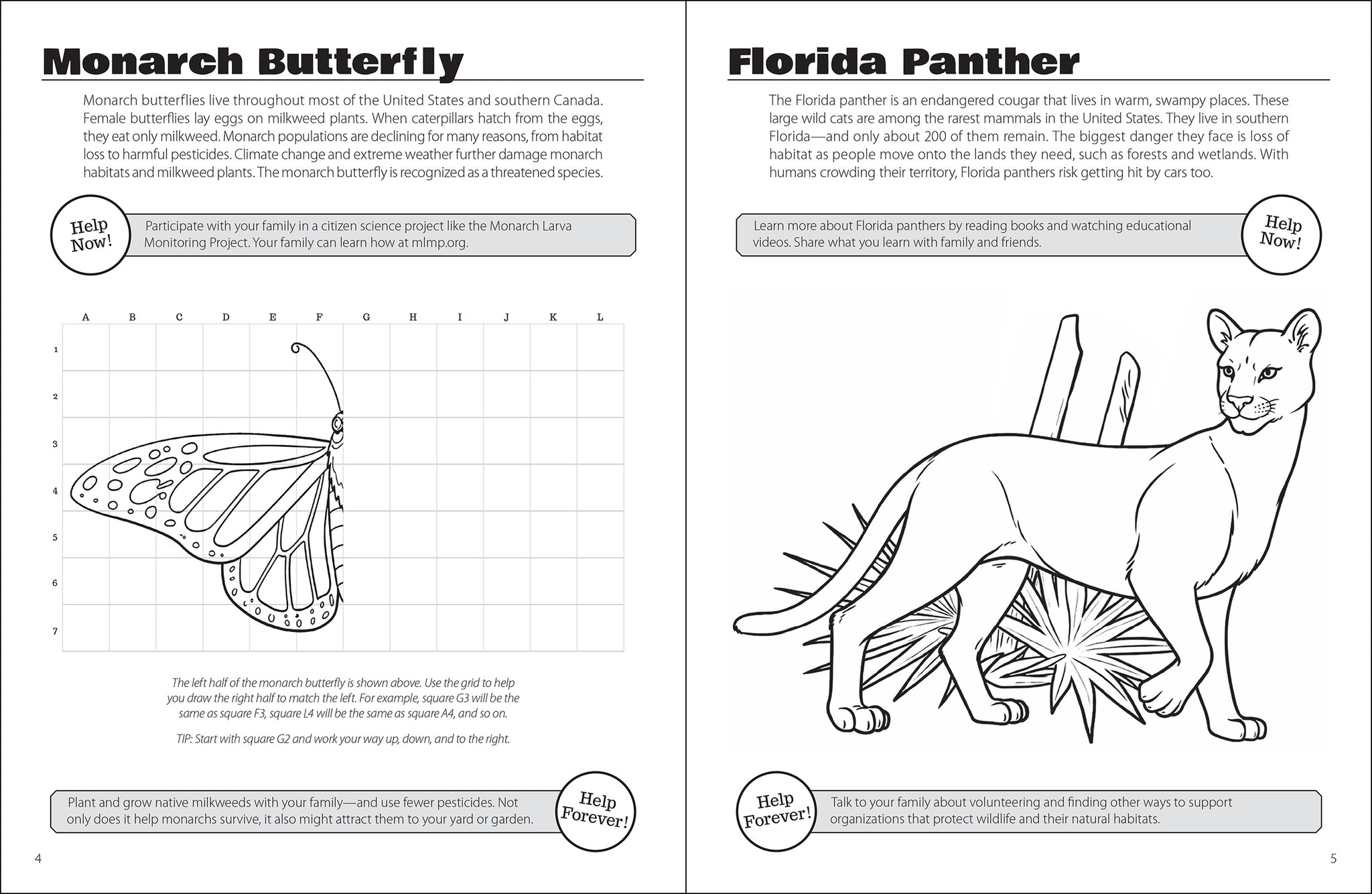 Cover image for Save the Animals Activity Book ISBN 9781960084934