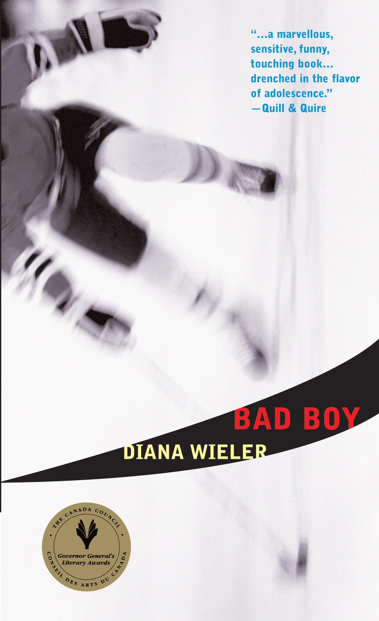 Cover image for Bad Boy ISBN 9780888990839