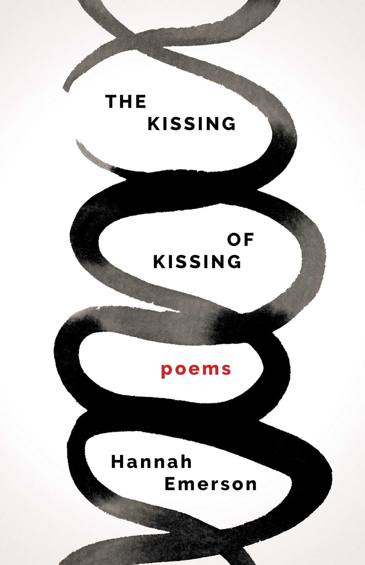 Cover image for The Kissing of Kissing ISBN 9781571315496