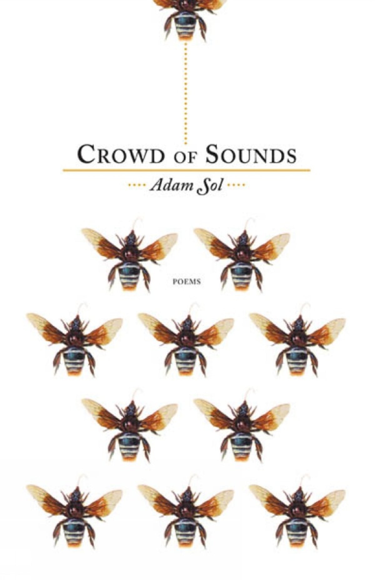 Cover image for Crowd of Sounds ISBN 9780887846885