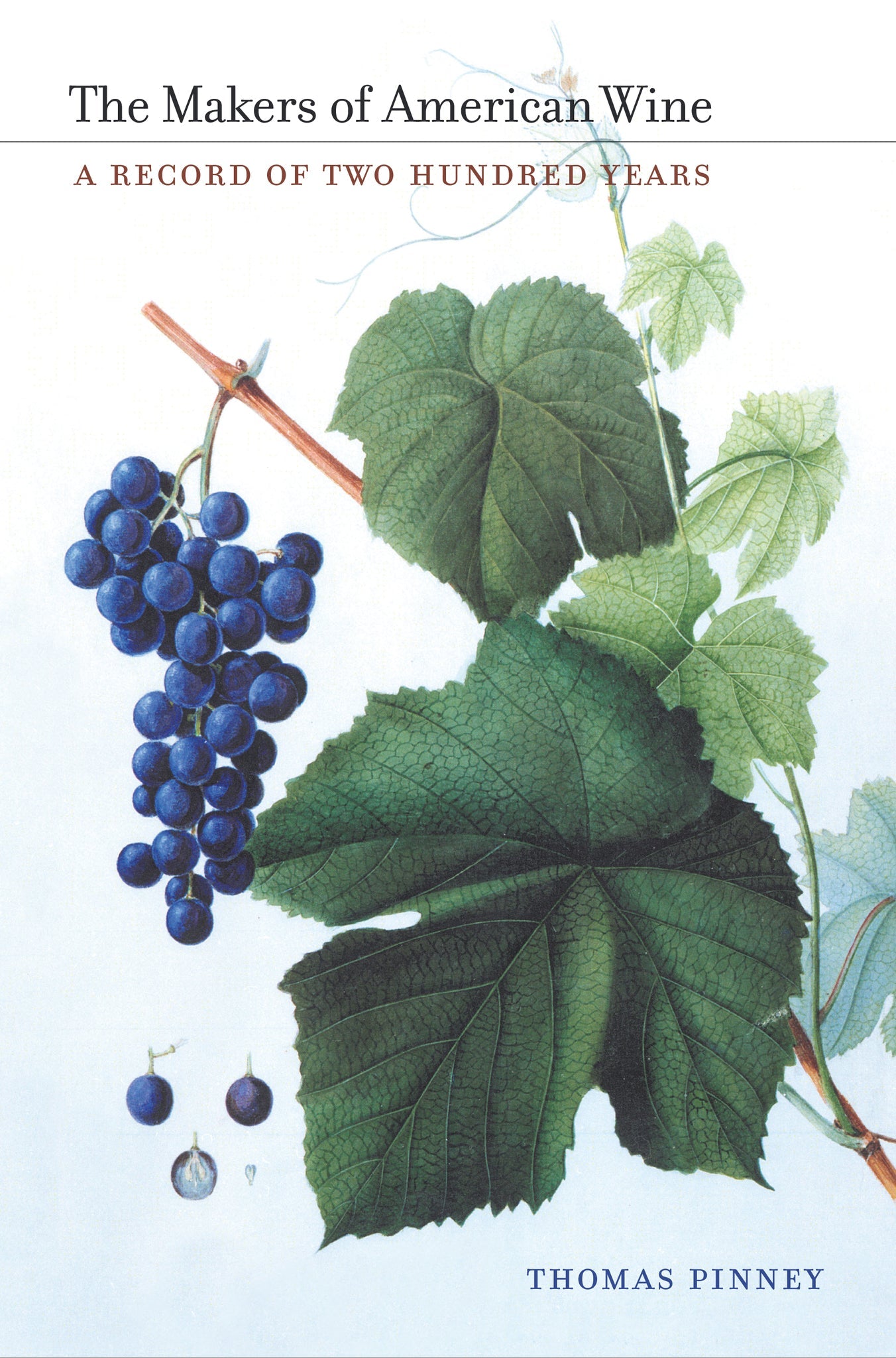 Cover image for The Makers of American Wine ISBN 9780520952225