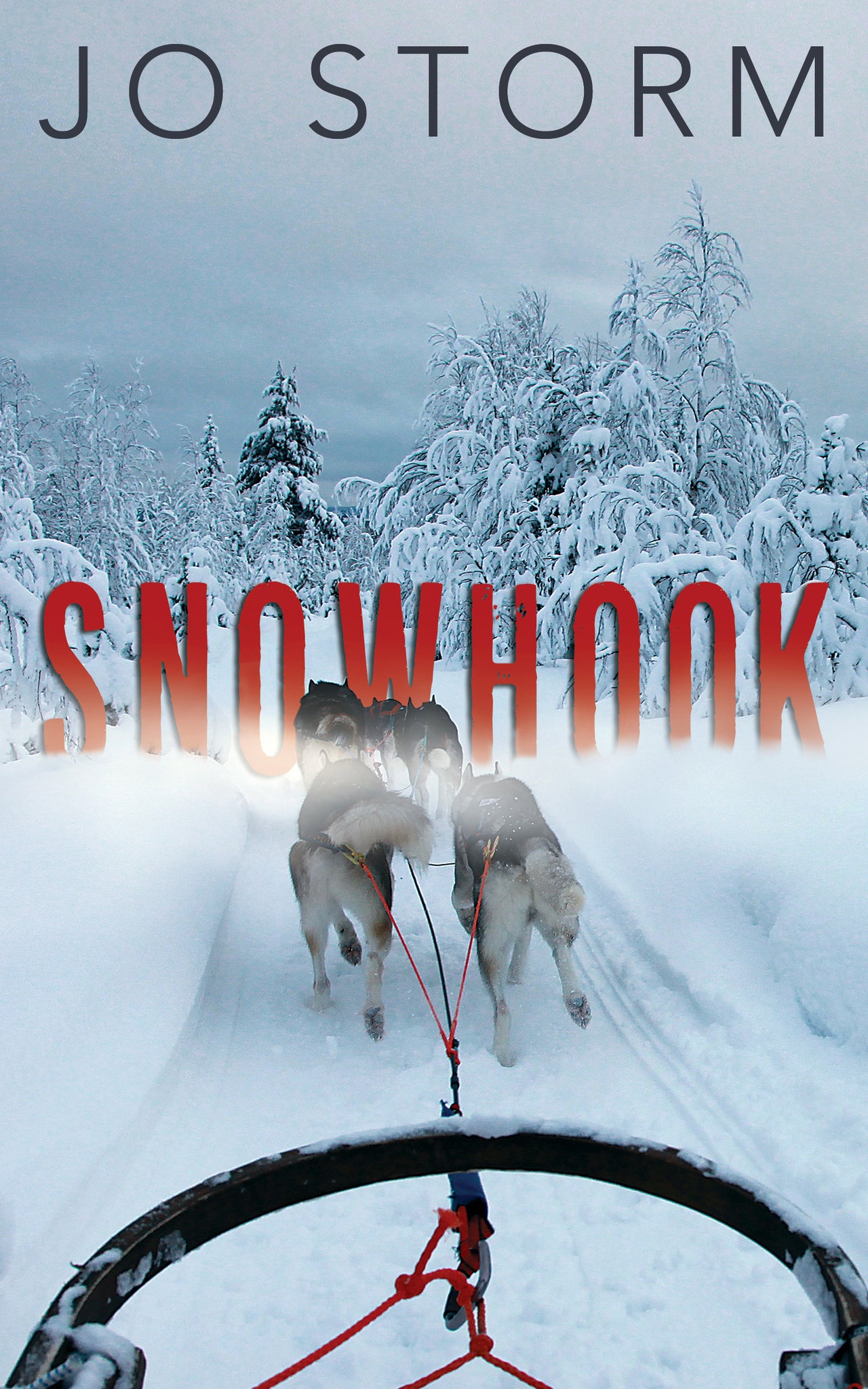 Cover image for Snowhook ISBN 9781459743007