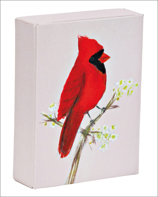 teNeues - Playing Cards: Red Cardinal, Blue Core Card Stock, Linen Imprint Surface, 52 Full Color Cards