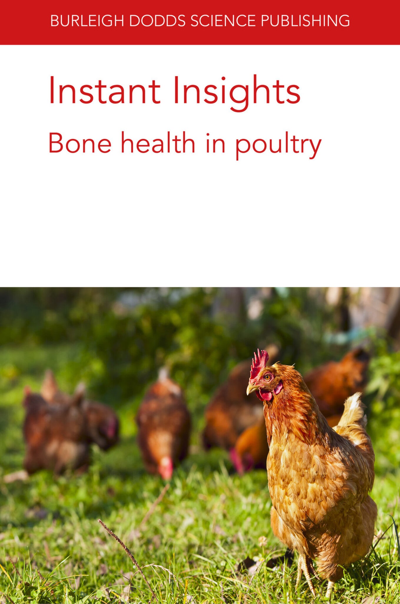 Cover image for Instant Insights: Bone health in poultry ISBN 9781801460132