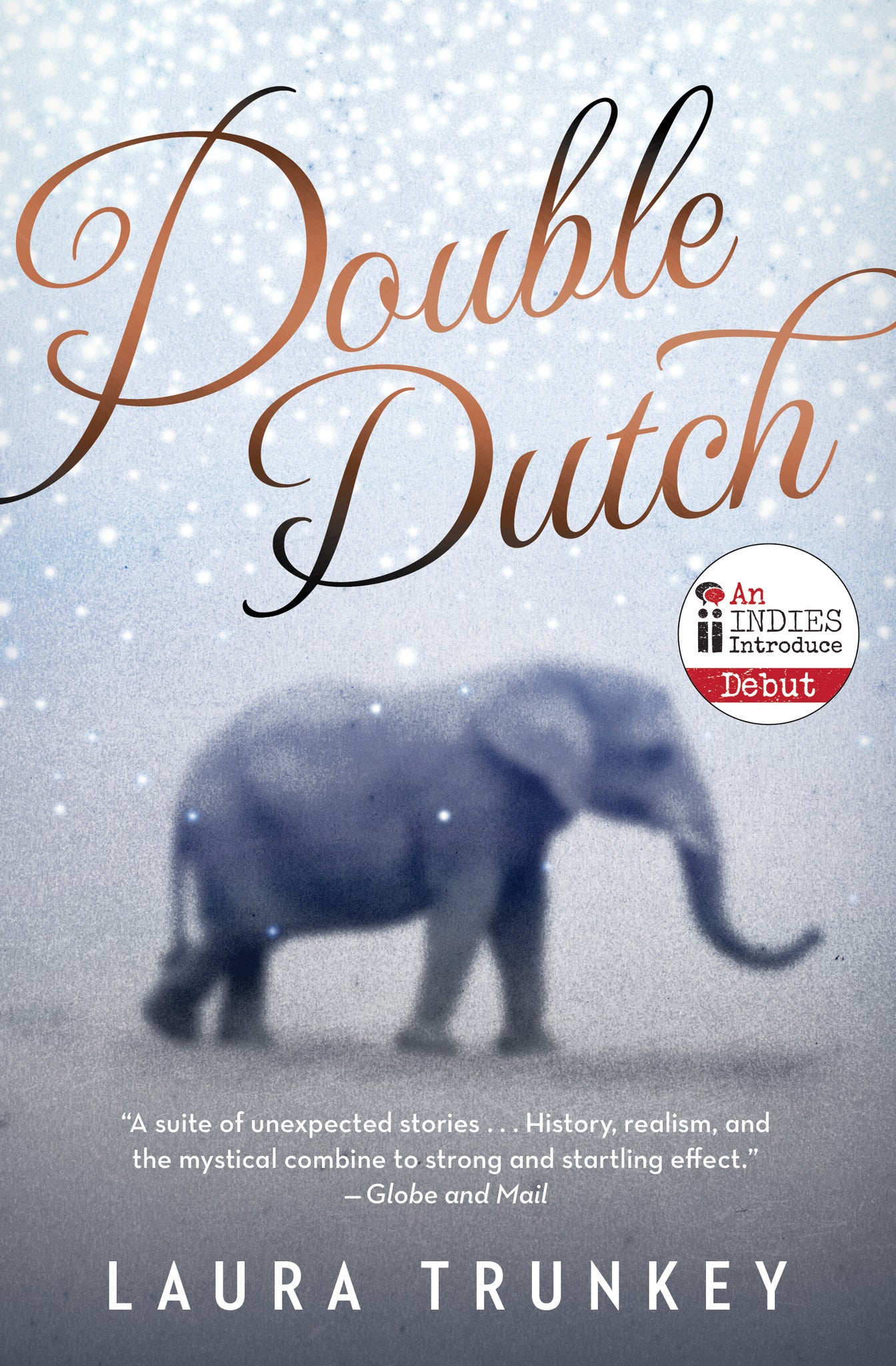 Cover image for Double Dutch ISBN 9781770898776