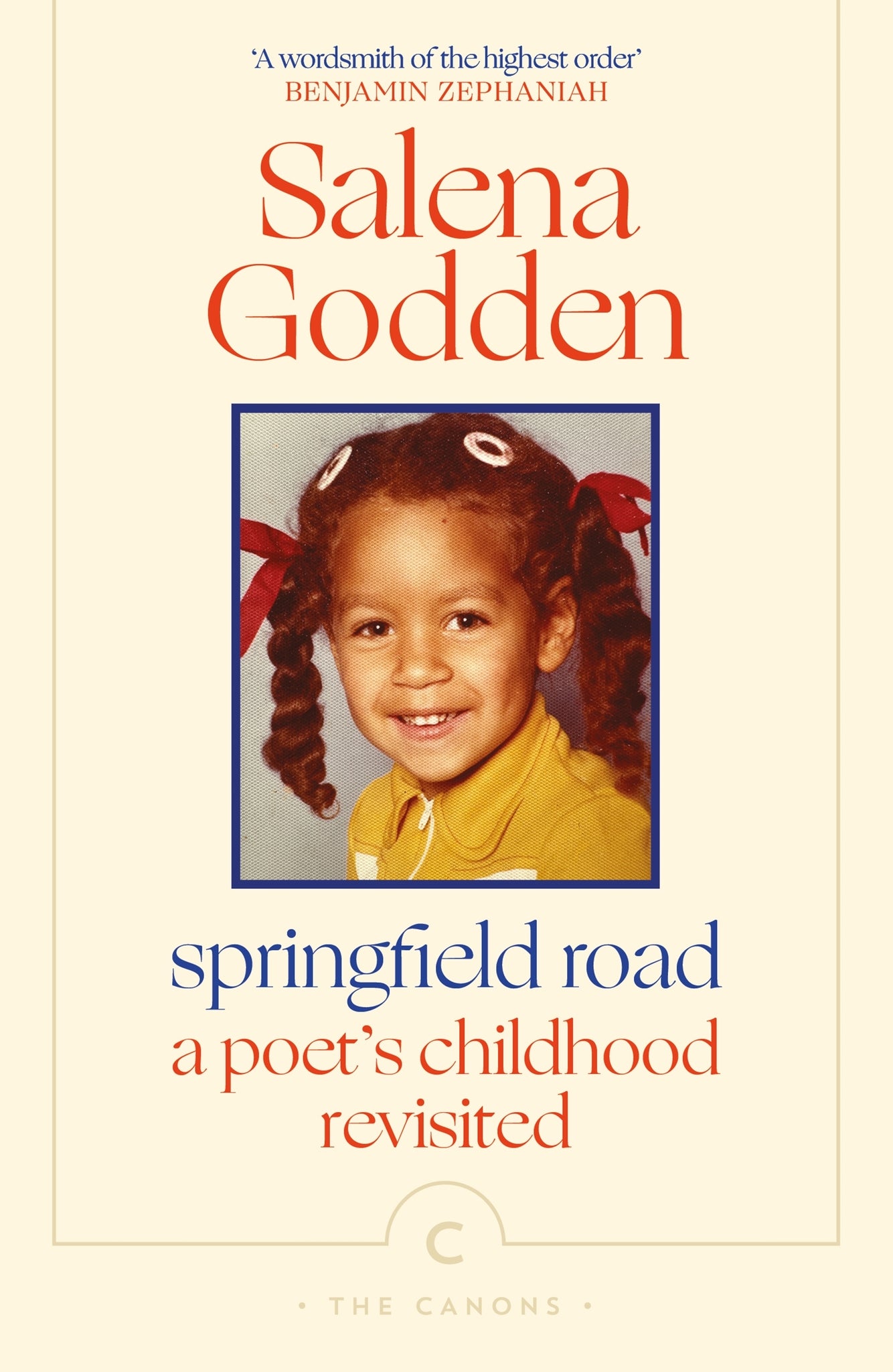 Cover image for Springfield Road ISBN 9781805300243