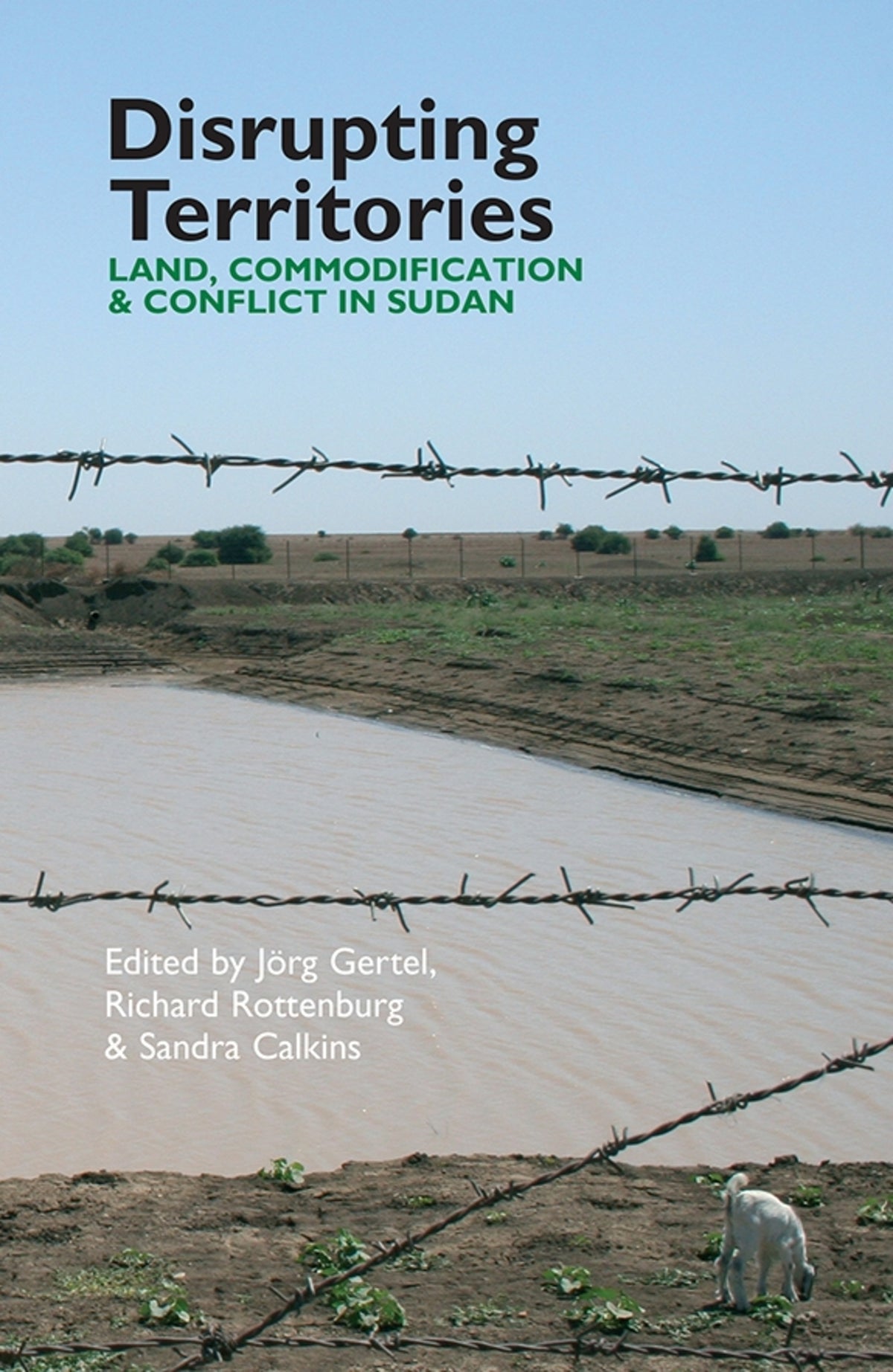Cover image for Disrupting Territories ISBN 9781847010544
