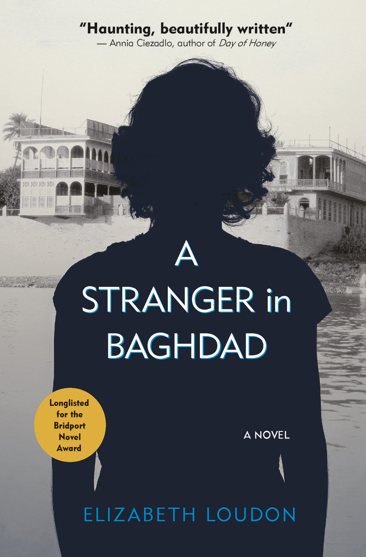 Cover image for A Stranger in Baghdad ISBN 9781649032874